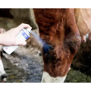 Blue spray Lotion - blå sårspray