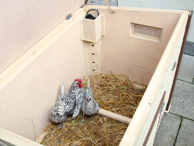 Hønsehus isoleret med opvarmning Foderven