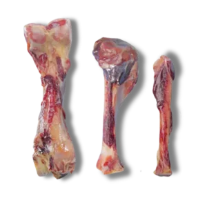 Parmaskinkeben til hunde