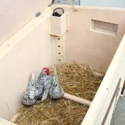 Hønsehus isoleret med opvarmning