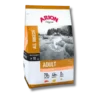 Arion Adult Salmon & Potato 12 kg