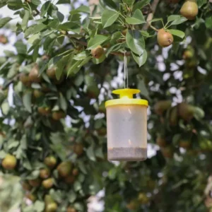 cit FlyCage3 - Fluefanger