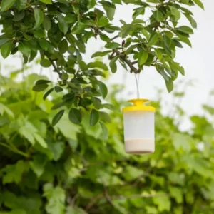 cit FlyCage3 - Fluefanger