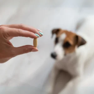 Kosttilskud og helse