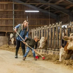 Børne kost i stalden