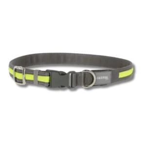Halsbånd med LED og refleks