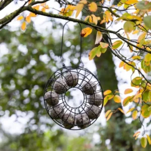 Mejsebolde holder hængt op