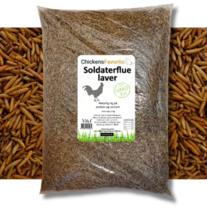 Sodaterflue laver 5 kg Blacksoilderflie larve