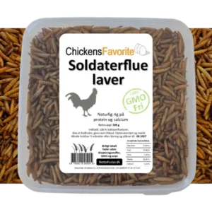 Sodaterflue laver Black soilderflie larve