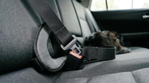 hundesele til bil
