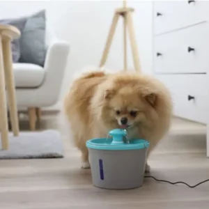 Drikkefontæne til hunde