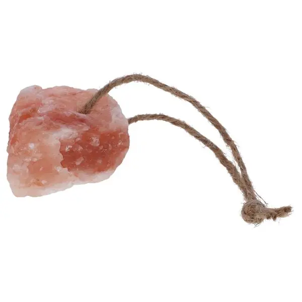 Saltsliksten til kanin